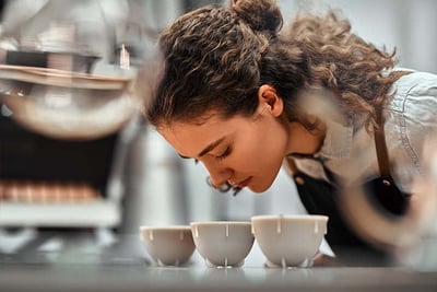 stap 5 experimenteer