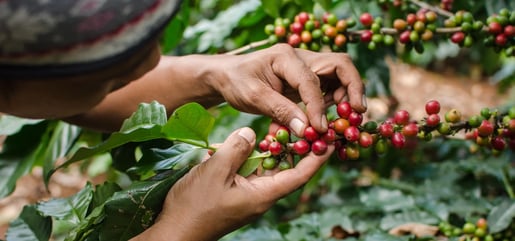 hero banner duurzaamheid