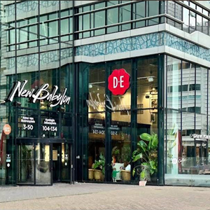 de cafe den haag new babylon