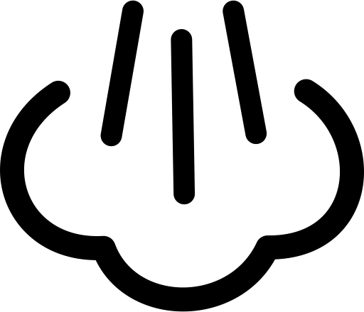 steam air icon